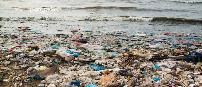 Contaminación masiva: el otro lado del consumo